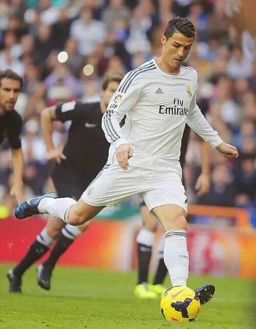 不可或缺的 不可或缺的