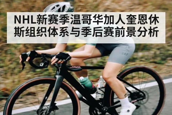 NHL新赛季温哥华加人奎恩休斯组织体系与季后赛前景分析 | LEYU