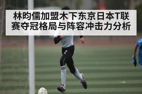 林昀儒加盟木下东京日本T联赛夺冠格局与阵容冲击力分析 - LEYU